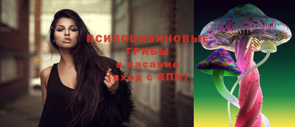 гидропоника Алексеевка