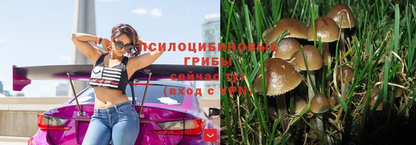 гидропоника Алексеевка