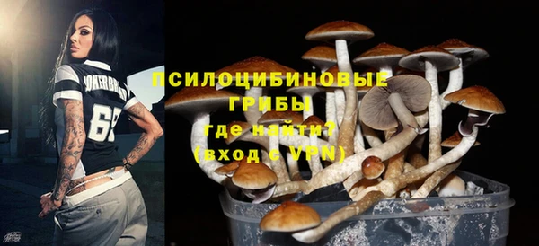 бутират Алексин