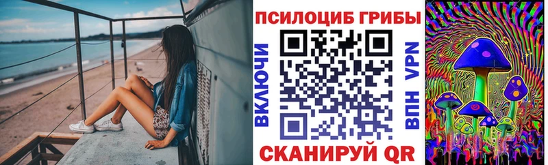 Псилоцибиновые грибы Cubensis  где купить наркоту  Бийск 